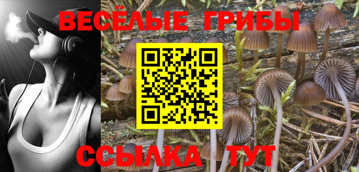 Сыктывкар  Мефедрон  Канабис  Вход с VPN  Alpha-PVP СОЛЬ кристаллы  ГАШ  Меф кристаллы 